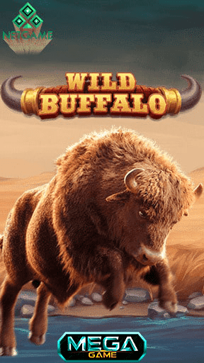 buffalo mega